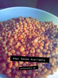 Image result for Ricinodendron