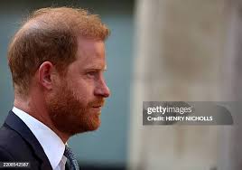 9,548 Henry Prince Stock Photos, High-Res Pictures, and Images