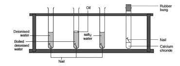 What Causes Iron To Rust Experiment Rsc Education