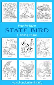Access nebraska official cbird's description, history, and picture. State Bird Coloring Pages Free Printable Flanders Family Homelife