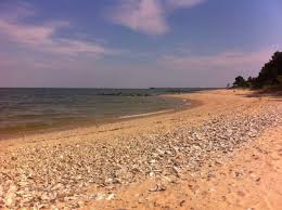 The Beach Near Washington Dc That S Unlike Any Other In The World Beach State Parks Destin Beach