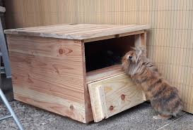 Buddelkiste Fur Aussen Kaninchen Kaninchen Zubehor Kaninchen Spielzeug