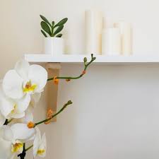 Ikea Ekby Osten Valter Shelves Shelf Ikea Fenomen Candles White Orchids Orchids Plants Houseplants Home Interior Design Decor Interior Design Interior Design