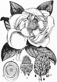 The Project Gutenberg eBook of ...