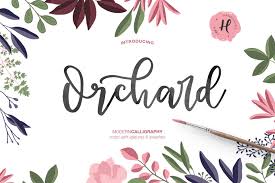 495 points · 11 months ago working mom shade. Orchard Modern Calligraphy 177167 Handwritten Font Bundles Modern Calligraphy Modern Calligraphy Fonts Fancy Fonts