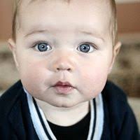 Matt Lounsbury Email & Phone Number