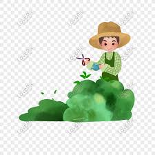Tugas tukang kebun mencuci halaman rumah. Teachers Day Hard Gardener Cute Cartoon Character Png Image Picture Free Download 611144172 Lovepik Com
