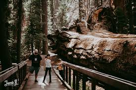 Thinking about a camping trip to sequoia national park? Sequoia National Forest Family Camping Trip Jamie Y Photography
