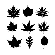 Leaves Svg Files For Silhouette Cameo And Cricut Leaves Clipart Png Included Leaf Clipart Silhouette Cameo Silhouette Stencil