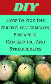 10.01.2011 · they cut off part of the colon and there was resection. How To Pick The Perfect Watermelon Pineapple Cantaloupe And Strawberries At The Store Diy Life Hacks Useful Life Hacks Diy Food