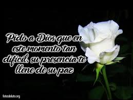 Frases De Duelo Con Imagenes De Monos Para Whatsapp Y Facebook Los juegos para whatsapp son una de las mejores formas de pasar el rato y divertirse con amigos, familiares o incluso pareja. frases de duelo con imagenes de monos