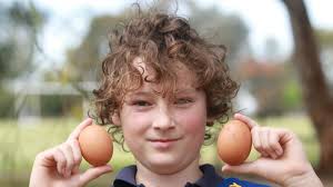 Chooks crack show awards