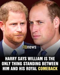 Prince Harry admits that Prince William is the only hurdle preventing his  return to his old life.