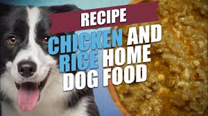 Preheat the oven to 170 degrees. Chicken And Rice Home Dog Food Recipe Healthy Youtube