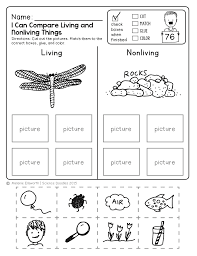 Freebie No Prep Kindergarten Science Doodle Printables Free Science Worksheets Science Doodles Science Worksheets