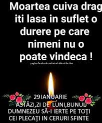 Bogdan maleon, distins colaborator și drag prieten al bibliotecii județene „gh. Facebook