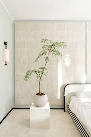Living room tall house plants. 35 Best Indoor Plants For Apartments Best Houseplants For Apartment Dwellers