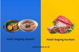 Jelaskan 4 perbedaan ketentuan pembagian daging akikah dan kurban. 9 Perbedaan Penting Kurban Dan Aqiqah Dalam Al Quran Dan Hadis