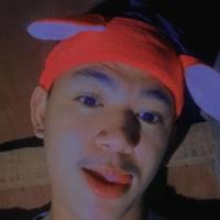 30+ "Carlo Nicolas" profiles