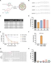 Thanks for helping me transform my garage addition. Crispr Cas9 Genome Editing Using Targeted Lipid Nanoparticles For Cancer Therapy Science Advances