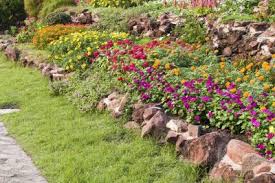 Learn how to prevent weeds and keep weeds from growing in your garden, lawn, and other landscaping areas with these gardening weed seeds sleep in your soil all the time, just waiting for sunshine to enable them to germinate. Dense Planting For Weed Control How To Stop Weeds Using Flowers In The Garden