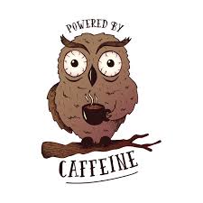 owl with coffee