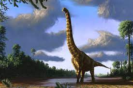 Dreadnought est le plus grand dinosaure au monde à avoir été décrit scientifiquement. Des Chercheurs Disent Avoir Trouve Le Plus Grand Pied De Dinosaure