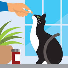 Tudo que o seu pet precisa em até 3x sem juros! Walmart Pet Care Walmart Com
