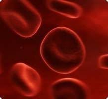 Espérance de vie de 2 mois ou plus. Leucemie Symptomes Traitements Approches Naturelles