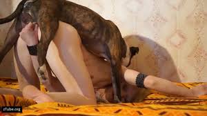 blonde pet model Video archives - Page 4 of 13 - zTube
