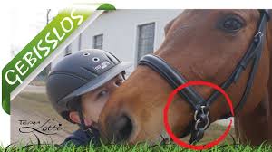 Du kunne også være interesseret i. Gebisslos Reiten Ob Das Gut Geht Youtube