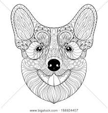 You want to see all of these dog coloring pages, please click here! Zentangle Dog Face Vector Photo Free Trial Bigstock