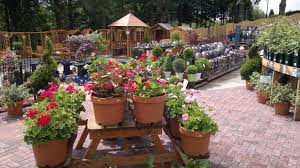 Garden Centre In Dumfries Garden Center Plants Garden