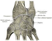 If these become stretched and allow too much movement, this is called instability. Triangular Fibrocartilage Wikipedia
