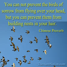 Cannot Fly Birds That Don T Fly You Can Not Prevent The Birds Of Sorrow From Flying Over Your Head But You Can Prevent Them From Building Nests In Your Hair Proverbs Chinese Proverbs Sorrow