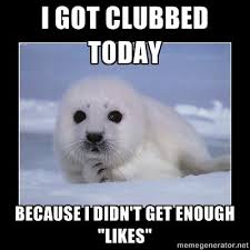 Clubbing Baby Seals Home Facebook