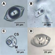 نتیجه جستجوی لغت [inclusions] در گوگل
