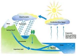 Explain The Water Cycle With The Help Of A Diagram Geography Topperlearning Com 342n3f0mm