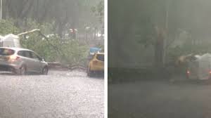 Cade un albero sulle tombe. Maltempo Roma Allagamenti E Alberi Caduti Nuovo Nubifragio In Mattinata Chiusa Per Ore Stazione Metro A La Repubblica