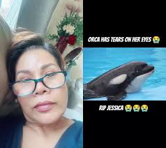 Iv Sovannary Chea (@ivsovannarychea)