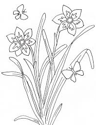 Dibujos De Plantas Para Colorear