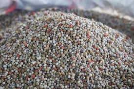 There are 240 blood meal for sale on etsy, and they. What Is The Best Fertilizer For Hydroponics