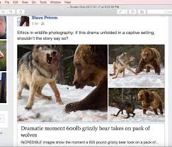 The New West: What happens when 'wildlife photography' masquerades as  something it's not?