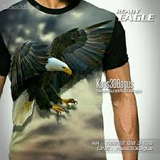 Foto hd elang vs harimau. Pin On Kaos Animal Kaos Gambar Binatang
