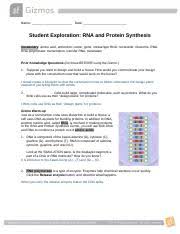 We did not find results for: Rna Protein Synthesis Gizmo Completed Docx Name Date Student Exploration Rna And Protein Synthesis Vocabulary Amino Acid Anticodon Codon Gene Course Hero
