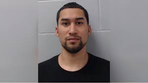 Brave geese honk at and chase after alligator at golf course