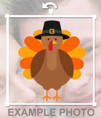 Más de 281.407 pavo imágenes para elegir, sin necesidad de registrarse. Thanksgiving Postcards And Frames
