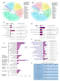 Animal cell vs plant cell vs bacterial cell venn diagram. Microorganisms Free Full Text Intracellular Bacteria In Plants Elucidation Of Abundant And Diverse Cytoplasmic Bacteria In Healthy Plant Cells Using In Vitro Cell And Callus Cultures Html