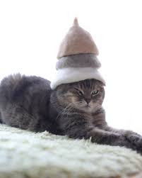 Photographer Fashions Fanciful Hats For His Cats Out Of Their Own Hair Cats Cat Hat Cat Fur