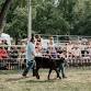 Cass County Fair